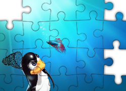 Pingwin, Ryba, Bojownik, Linux