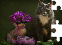 Kot, Bukiecik, Fioletowych, Kwiatów, Wazon