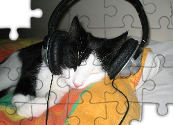 Kotek, Muzyka, Słuchawki