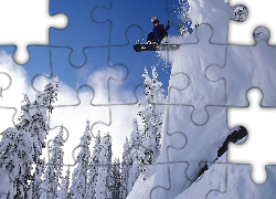 Śnieg, Drzewa, Snowboard