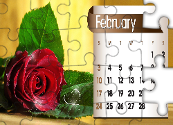 Kalendarz, Róża, Luty, 2013r
