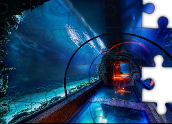 Podwodny, Tunel, Oceanarium