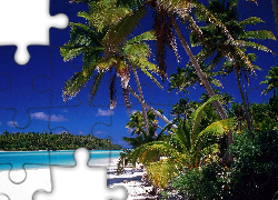 Małe, Antyle, Barbados, Morze, Plaża, Dżungla