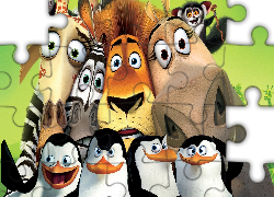 Madagaskar, Żyrafa, Zebra, Lew, Hipopotam, Lemur, Pingwiny