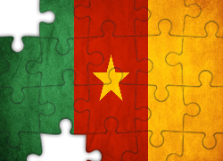 Flaga, Kamerun