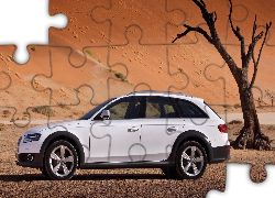 Audi, A4 AllRoad , Pustynia, Drzewo