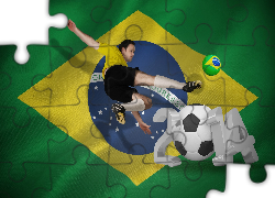 Mistrzostwa, Świata, Brazylia, 2014r