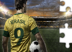 Piłkarz, Stadion, Mistrzostwa, Świata, 2014, Brazylia