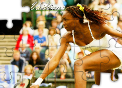 Tennis,Serena Williams