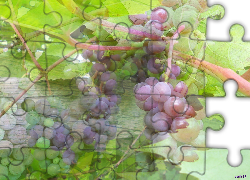 Winogrona, Efekty Graficzne