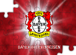 Bayer Leverkusen, piłka nożna, sport