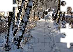 Zima, Śnieg, Park, Drzewa, Drewniany, Most, Ślady