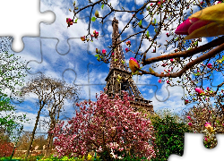 Wieża Eiffla, Kwitnące, Drzewa, Wiosna, Paryż, Francja
