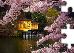 Dom, Rzeka, Las, Kwitnące, Gałązki, Wiosna, Japonia