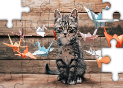 Kot, Kotek, Ptaszki, Origami
