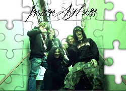 Insane Asylum,zespół