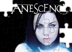 Amy Lee, Evanescence, Usta
