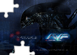Alien Vs Predator 1, czarny, stwór