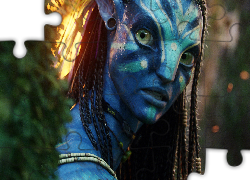 Avatar, Postać