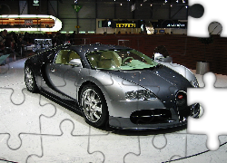 Bugatti Veyron, Srebrny, Czarny, Targi