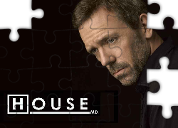 Dr. House,  Hugh Laurie