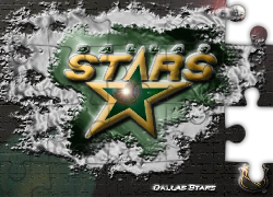 Logo, Drużyny, NHL, Dallas Stars