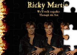 Wokalista, Ricky Martin