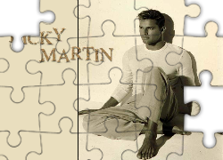 Piosenkarz, Ricky Martin