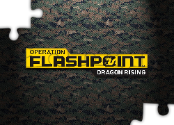 Logo, Operation Flashpoint 2