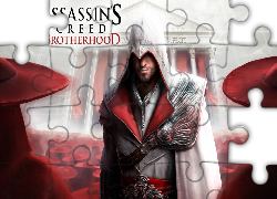 Assassins Creed, Brotherhood