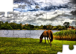 Koń, Jezioro, Chmury