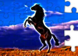 Koń, Chmury, Grafika