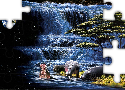Hipopotamy, Wodospad, Planeta
