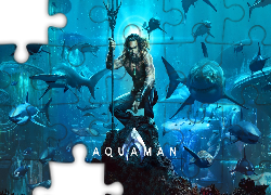 Film, Aquaman, Aktor, Jason Momoa