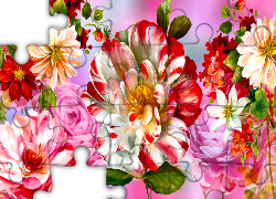 Kwiaty, Dwukolorowa, Biało-czerwona, Kamelia, Grafika