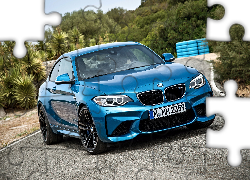 BMW M2 F87, Coupe, 2016