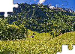 Góry, Alpy Szwajcarskie, Domki, Drzewa, Wzgórza, Wieś, Elm, Szwajcaria