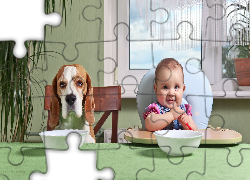 Dziecko, Pies, Beagle, Jedzenie, Śmieszne