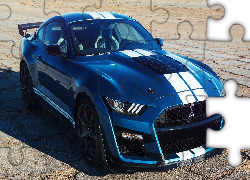 Ford Mustang Shelby GT500, 2019