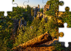 Formacja Bastei, Skały, Most, Drzewa, Powalone, Drzewo, Park Narodowy Saskiej Szwajcarii, Niemcy