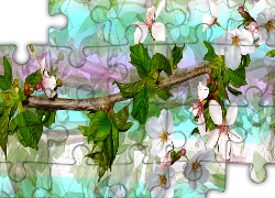 Grafika, Gałązka, Kwiaty, Drzewo owocowe