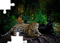 Czarna pantera, Jaguar, Skała, Grafika 2D