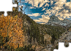 Góry Sierra Nevada, Przełęcz, Bishop Pass, Skały, Drzewa, Kalifornia, Stany Zjednoczone