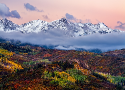 Jesień, Stany Zjednoczone, Kolorado, Szczyt, Mount Sneffels, Góry Skaliste, Lasy, Pożółkłe, Drzewa, Mgła, Chmury