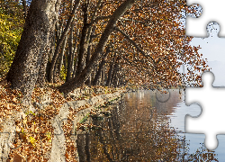 Jesień, Drzewa, Jezioro Kastoria, Kastoria, Grecja