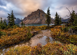 Góry, Góra, Crowfoot Mountain, Jezioro, Bow Lake, Drzewa, Roślinność, Park Narodowy Banff, Kanada