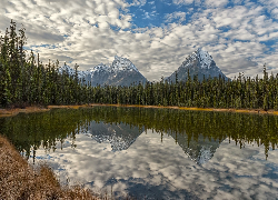 Góry, Jezioro, Lake Reflections, Drzewa, Odbicie, Brązowa, Trawa, Park Narodowy Jasper, Kanada