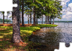 Drzewa, Jezioro, West Point Lake, A.L. Anderson Park, Floryda, Stany Zjednoczone