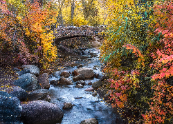 Jesień, Potok, North Cheyenne Creek, Kamienie, Most, Kolorowe, Drzewa, Krzewy, Colorado Springs, Kolorado, Stany Zjednoczone