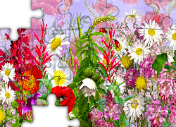 Kwiaty, Biedronki, Zboże, Grafika